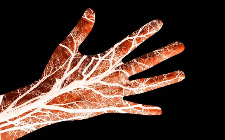 Tracleer, Ventavis Combo May Improve Hand Blood Vessels in Scleroderma with Raynaud’s